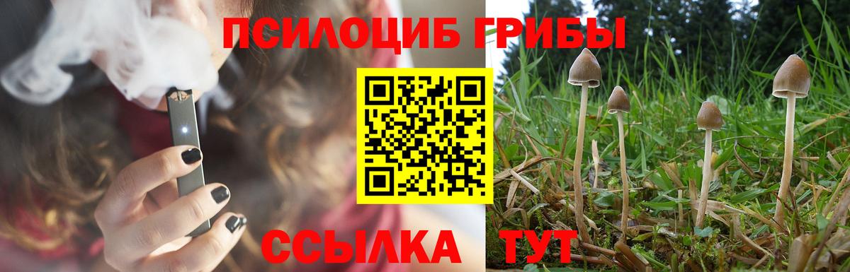 Батайск  Галлюциногенные грибы ЛСД  Вход с VPN 